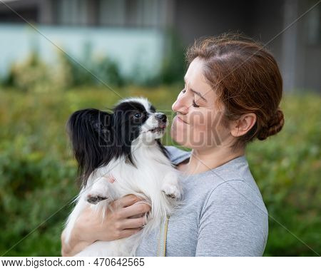 Caucasian Red-haired Woman Holding Pappilion Dog In Her Arms Outdoors. Black And White Continental S