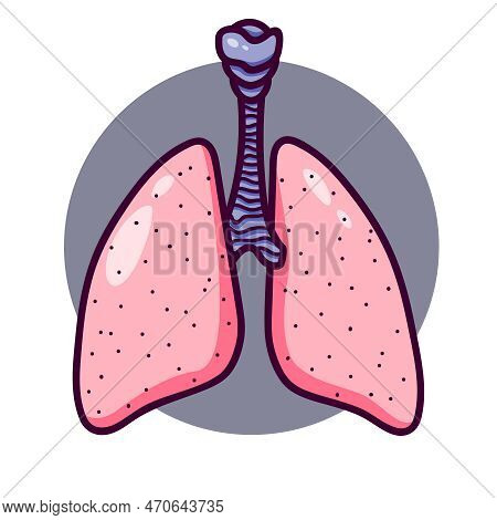 Human Lungs In Cartoon Style.  Lungs Logo Or Icon With Bronchi.  Isolated On White Background, There