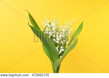 Bouquet Of Freshly Cut Lilies Of The Valley On A Yellow Background. A Bunch Of May Lily.