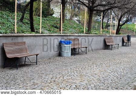 Benches At The Supporting Gray Supporting Concrete Wall In The Park. Purple Asters Bloom Above The W