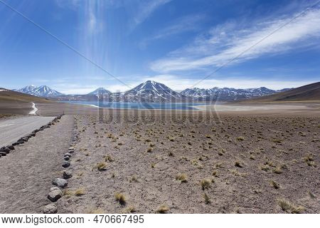 Landscape In Miscanti And Miniques National Park