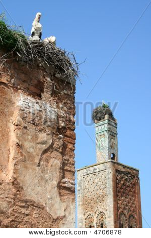 Cellah i Rabat