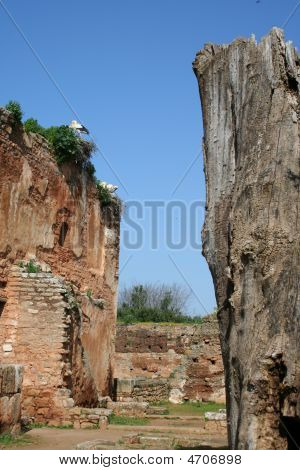 Cellah i Rabat