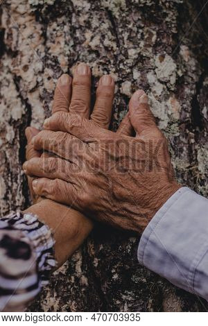 True Love Does Not Need To Be Young Always