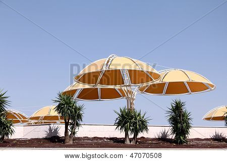 Yellow Sunshades On The Beach