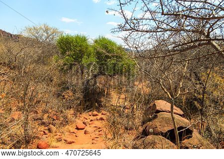 Andersson Trail In Waterberg Plateau National Park, Kalahari, Otjiwarongo, Namibia, Africa. Beautifu
