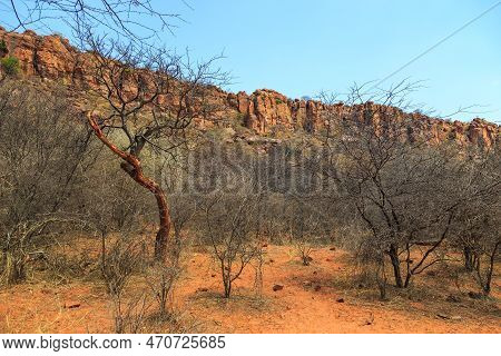 Andersson Trail In Waterberg Plateau National Park, Kalahari, Otjiwarongo, Namibia, Africa. Beautifu
