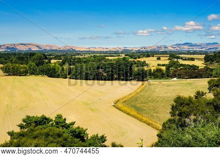 Farm Land And Fields Of Agricultural Crops In The Martinborough Valley In A Hot Dry Summer