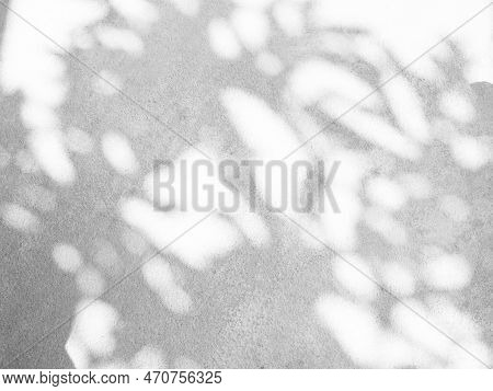 Shadow Spring On Wall Background,abstract Overlay Shady Soft Exterior Leaves Tree,nature Overlay Fro