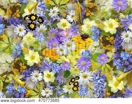 Colourful Flowers, A Special Gift For Beloved