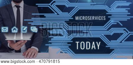 Writing Displaying Text Microservices. Business Approach Software Development Technique Building Sin
