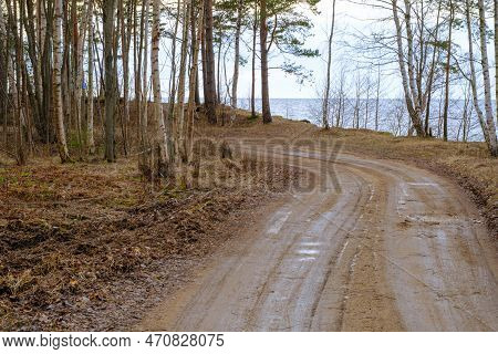 A Beautiful Winding Gravel Road On The Shore Of The Baltic Sea Leads Through The Forest. Ecologicall