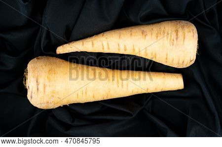 Freshly Harvested Yellow Pastinaca Sativa Garden Roots