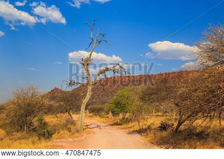 Andersson Trail In Waterberg Plateau National Park, Kalahari, Otjiwarongo, Namibia, Africa. Beautifu