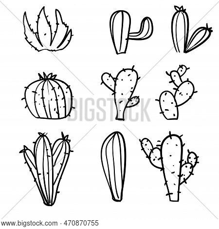 Doodle Exotic Cactuses Plants Summer Desert Tropical Flora Cartoon Botanical Hand Drawn Cartoon Styl