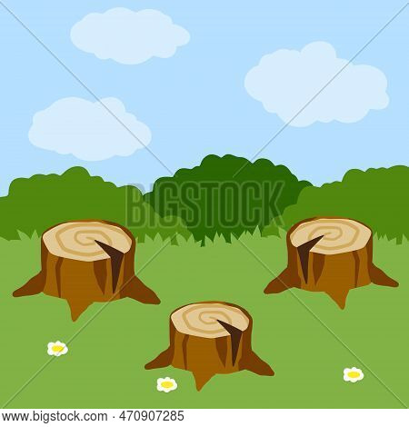 Stump In Forest Meadow. Green Field With Grass. Background For Child Drawing. Summer Nature. Funny S