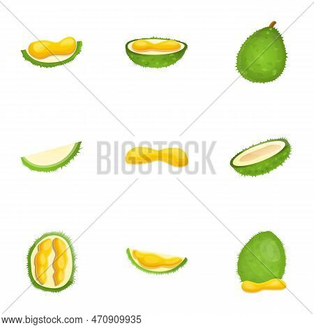 Fresh Durian Icon Set. Cartoon Set Of 9 Fresh Durian Icons For Web Design Isolated On White Backgrou