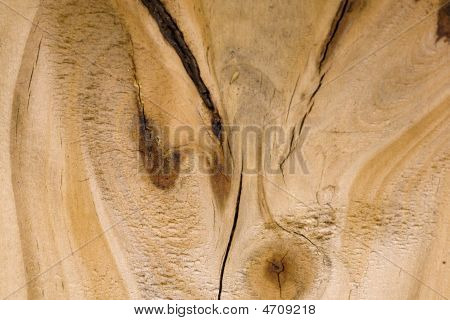 Section Wooden Fence Knot