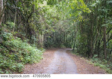The Road To The Sai Khu Waterfall Near The Town Of Bang Saphan In The Province Of Prachuap Khiri Kha