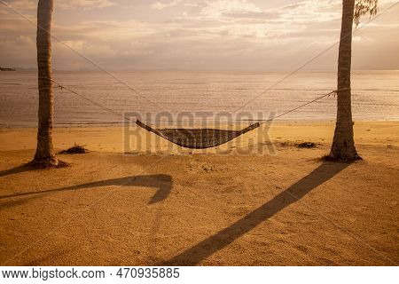 Palmtree At The Bo Thong Lang Bay And Beach At The Town Of Bang Saphan In The Province Of Prachuap K
