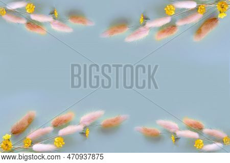 Spring Flower. Nice Lagurus On Blue Background.