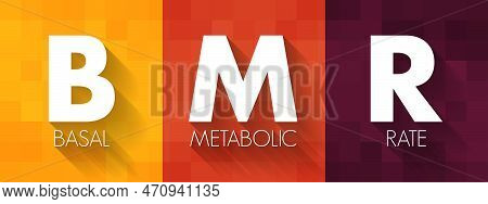 Bmr Basal Metabolic Rate - Number Of Calories You Burn As Your Body Performs Basic Life-sustaining F