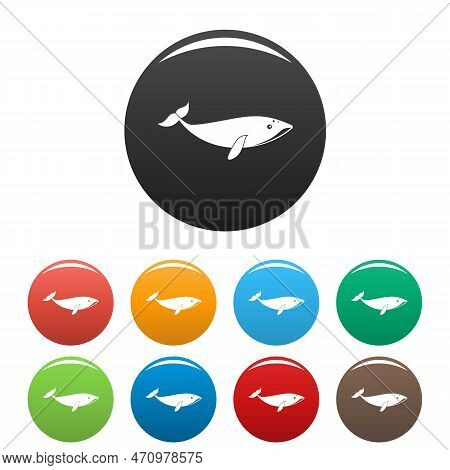 Small Whale Icons Set 9 Color Isolated On White For Any Design