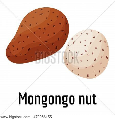 Mongongo Nut Icon. Cartoon Of Mongongo Nut Icon For Web Design Isolated On White Background