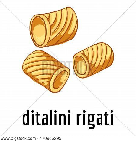 Ditalini Rigati Icon. Cartoon Of Ditalini Rigati Icon For Web Design Isolated On White Background