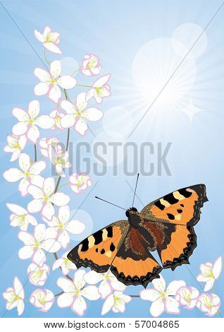 cherry blossoms and butterflies