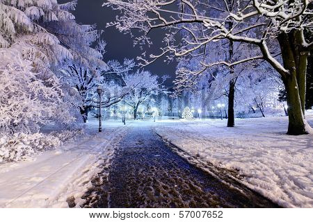 Central Park In Riga, Latvia At Winter Night