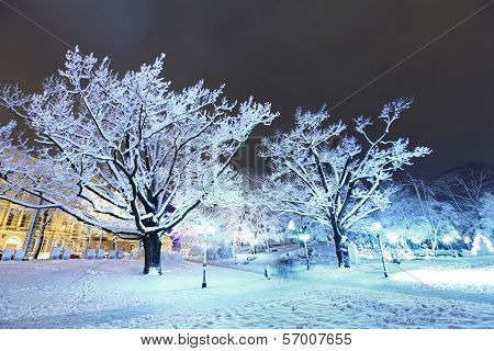 Central Park In Riga, Latvia At Winter Night