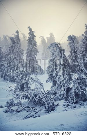Sunset in a snowy country