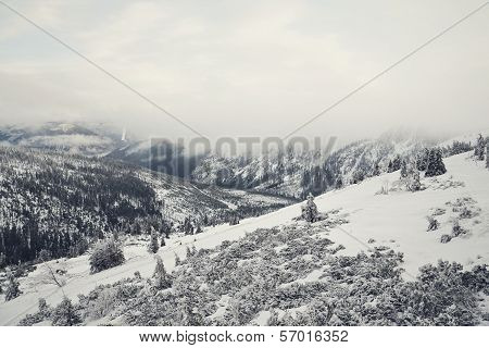 Winter country