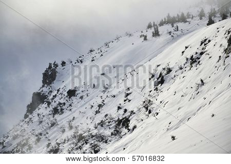 Winter country