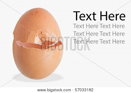 Broken Egg Shell