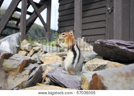 Glacier National Park In Montana