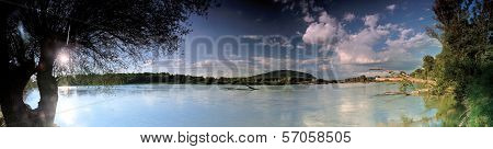Fallen Tree On The River