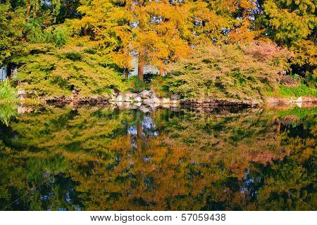 Landscape of West lake park.