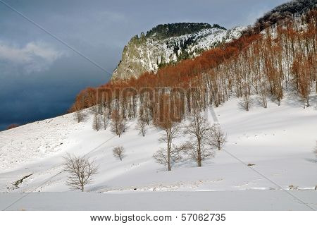 Snow Covered Mountain