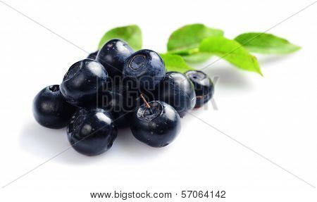 Bilberries