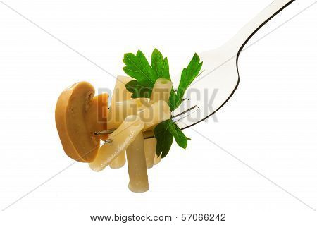 Pasta on fork