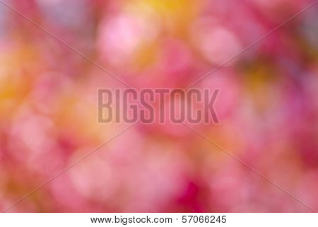Bokeh Background