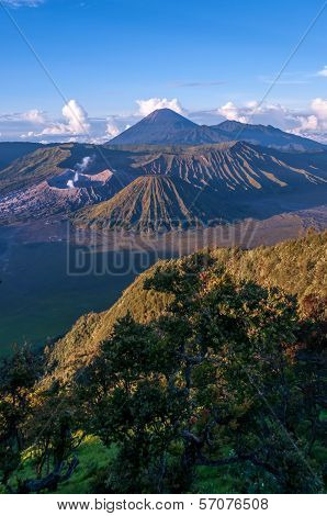 Bromo