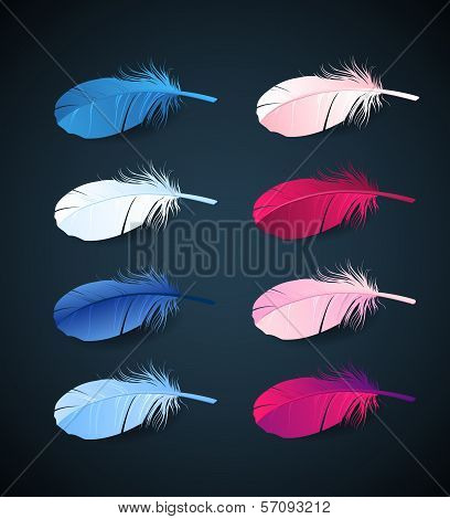 vector colorful feathers of sprind bird