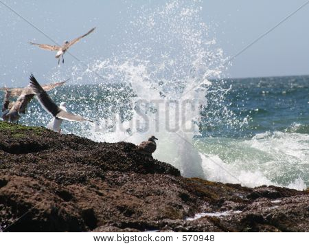 No Wave Me è Gettin Wet