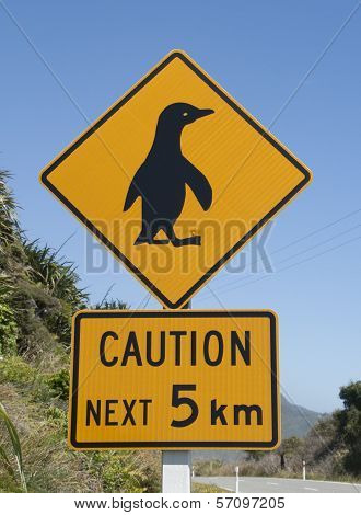 I like this pinguin.