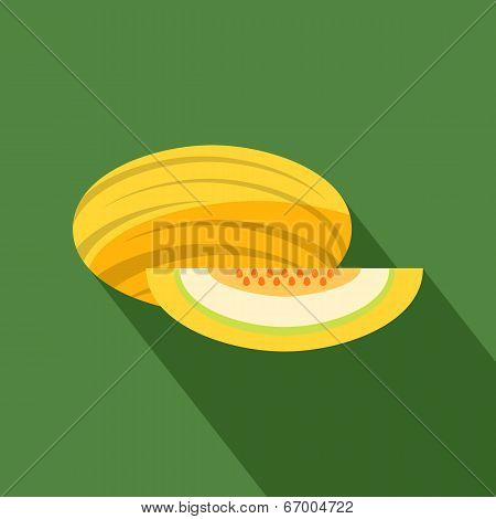 Melon Icon