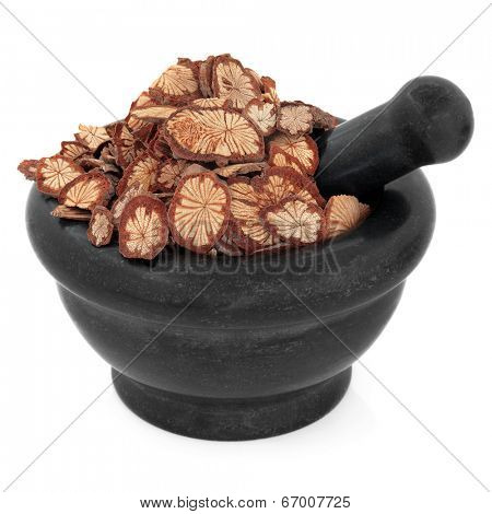 Sagent glory vine chinese herbal medicine in a black stone mortar with pestle over white background. Hong teng. Sargentadoxa.