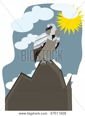 eagle sits on a mountain